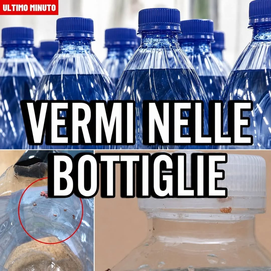 “Contiene vermi”; l’allarme poco fa. Attenzione a non consumare queste bottiglie d’acqua (1 / 2)