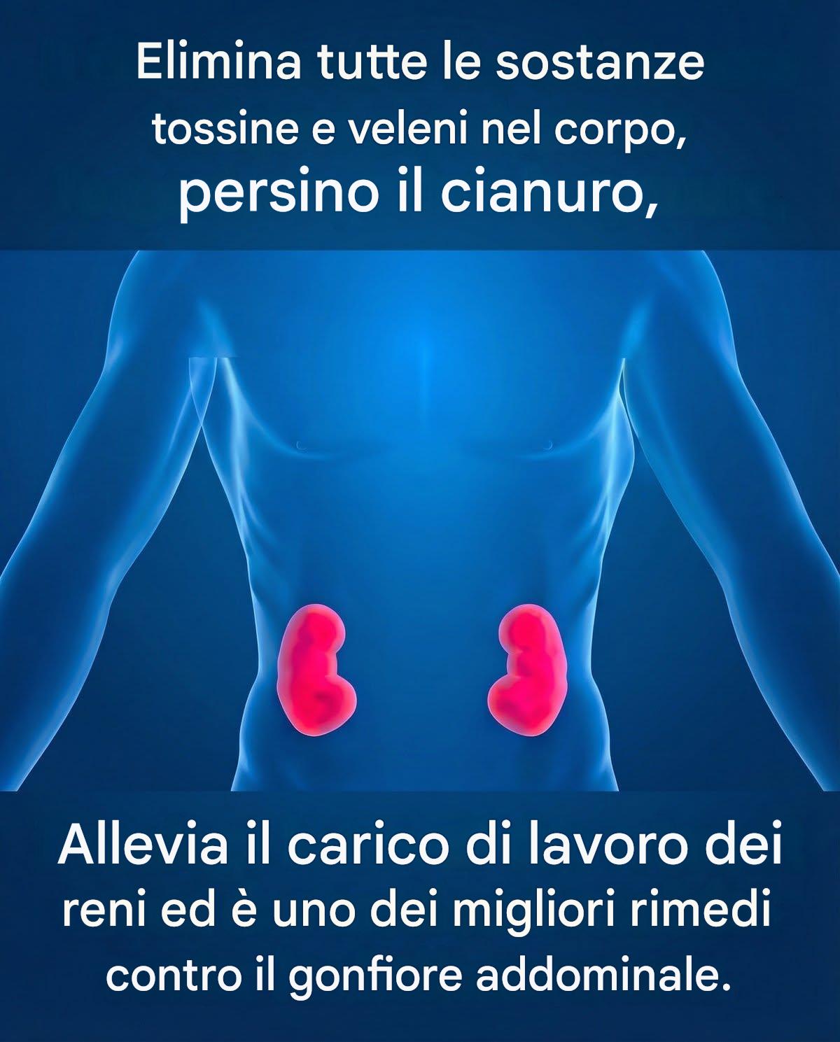 Un guaritore di cui non si può fare a meno: carbone vegetale attivato